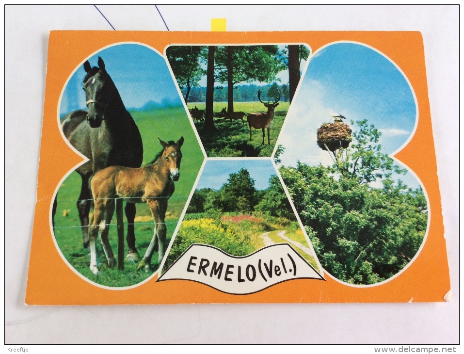 Nederland Ermelo - Ermelo