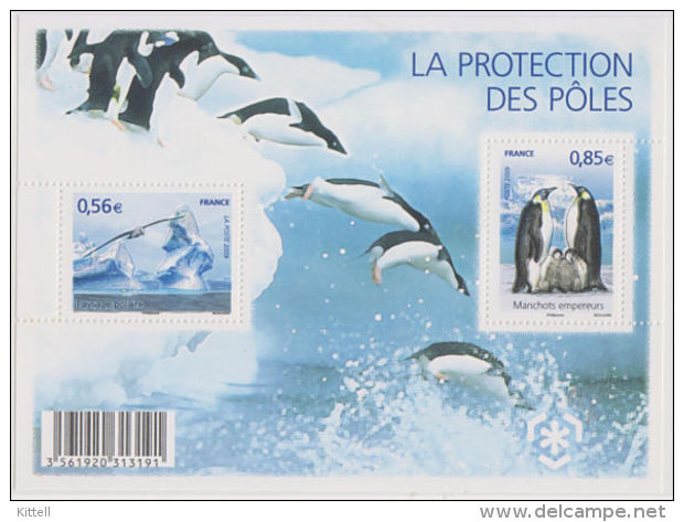 France 2009 Protection Of Polar Regions International Polar Year Penguin Glacier - Preservare Le Regioni Polari E Ghiacciai