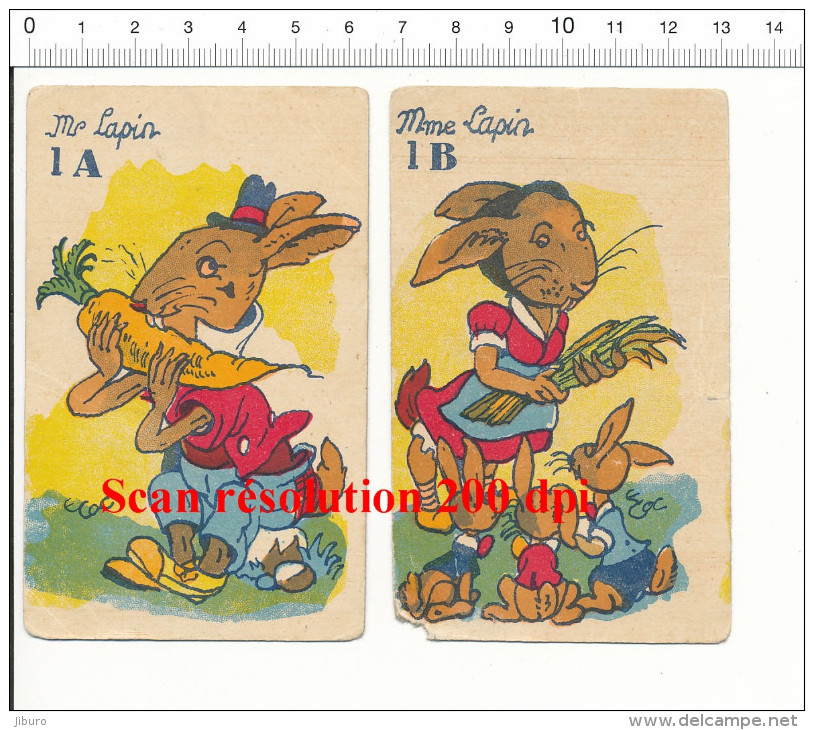 Humour Vintage Imagerie Ancienne / Couple De Lapins / Animal Lapin Et Carotte Humor Rabbit Lapineaux  // IM 189 - Autres & Non Classés