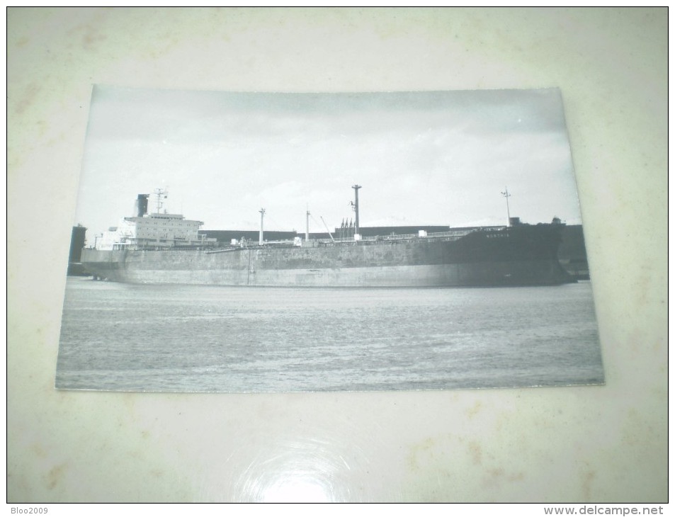 Photographie De Bateaux Le " NORTHIA 1971 "  SHELL BR  N° 34 -DD10 - Commerce