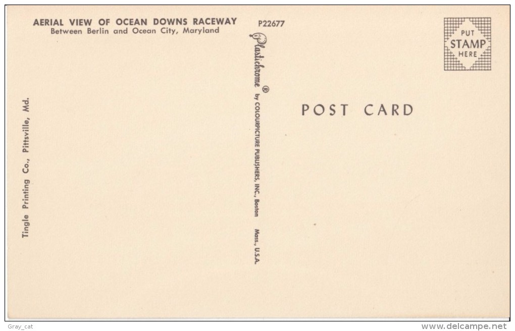 Aerial View Of Ocean Downs Raceway, Between Berlin And Ocean City, Maryland, Unused Postcard [17002] - Ocean City