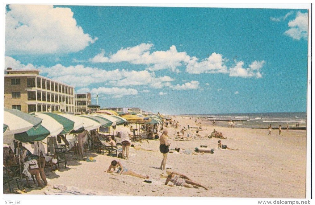 Beach Scene At Ocean City, Maryland, Unused Postcard [17003] - Ocean City