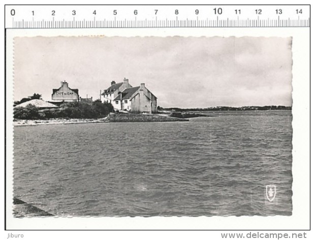 CPSM En BE - Ile D'Arz - Pointe De Biluré  // 2/403 - Ile D'Arz