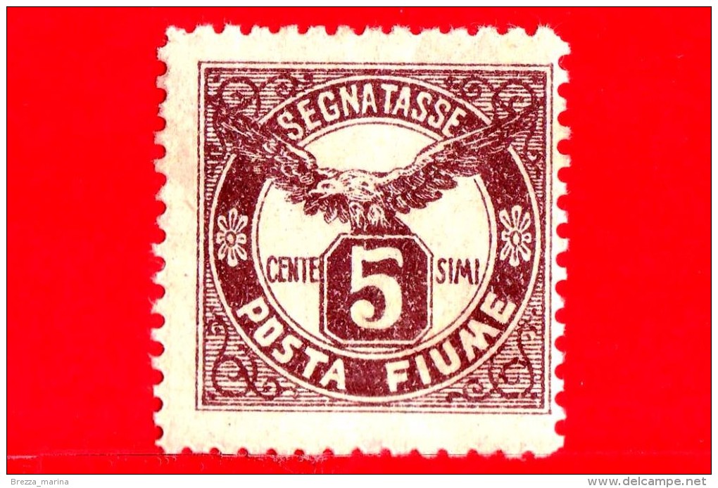 ITALIA - Nuovo Ling. - Occupazione - FIUME - 1919 - Aquila - Segnatasse - 5 C. - Fiume & Kupa