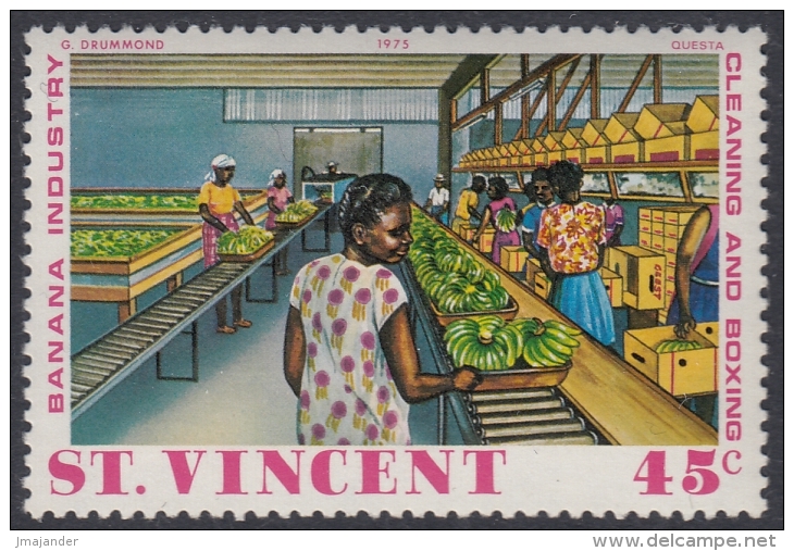 St. Vincent 1975 Banana Cultivation: Cleaning And Boxing. Mi 404 MNH - St.Vincent (...-1979)