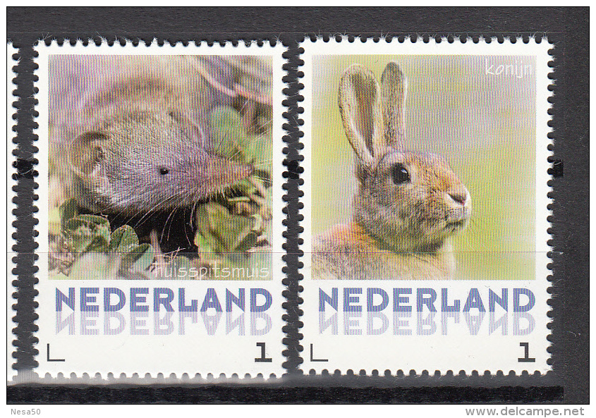 Nederland Zoogdieren Postfris : Spitsmuis + Konijn ; Shrew + Rabbit - Unused Stamps