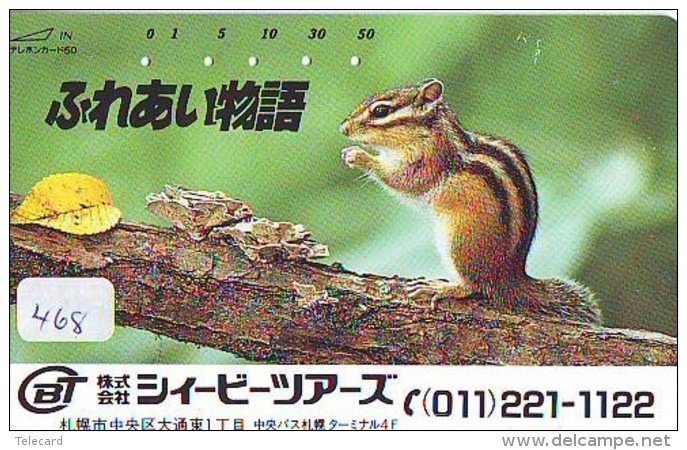 Télécarte Japon Animal- ECUREUIL - SQUIRREL Japan Phonecard (468) EICHHÖRNCHEN Telefonkarte - ARDILLA -  EEKHOORN - Autres & Non Classés