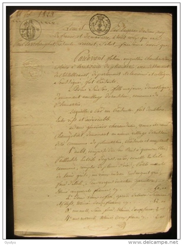 1823 Pleumartin (Vienne),donation Entre Vifs à La Veuve Changobert Née Charandeau - Manuscripts