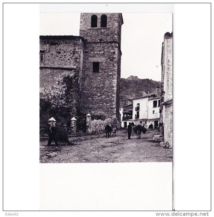 CNCTP6111-LFTD10534 .Tarjeta Postal DE CUENCA.Animales,edificios,plantas.montes Y CALLE Y PALACETE En CANETE - Cuenca