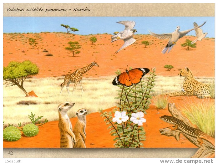 Namibia - 2015 Kalahari Postcard Dove Cancelled - Piccioni & Colombe