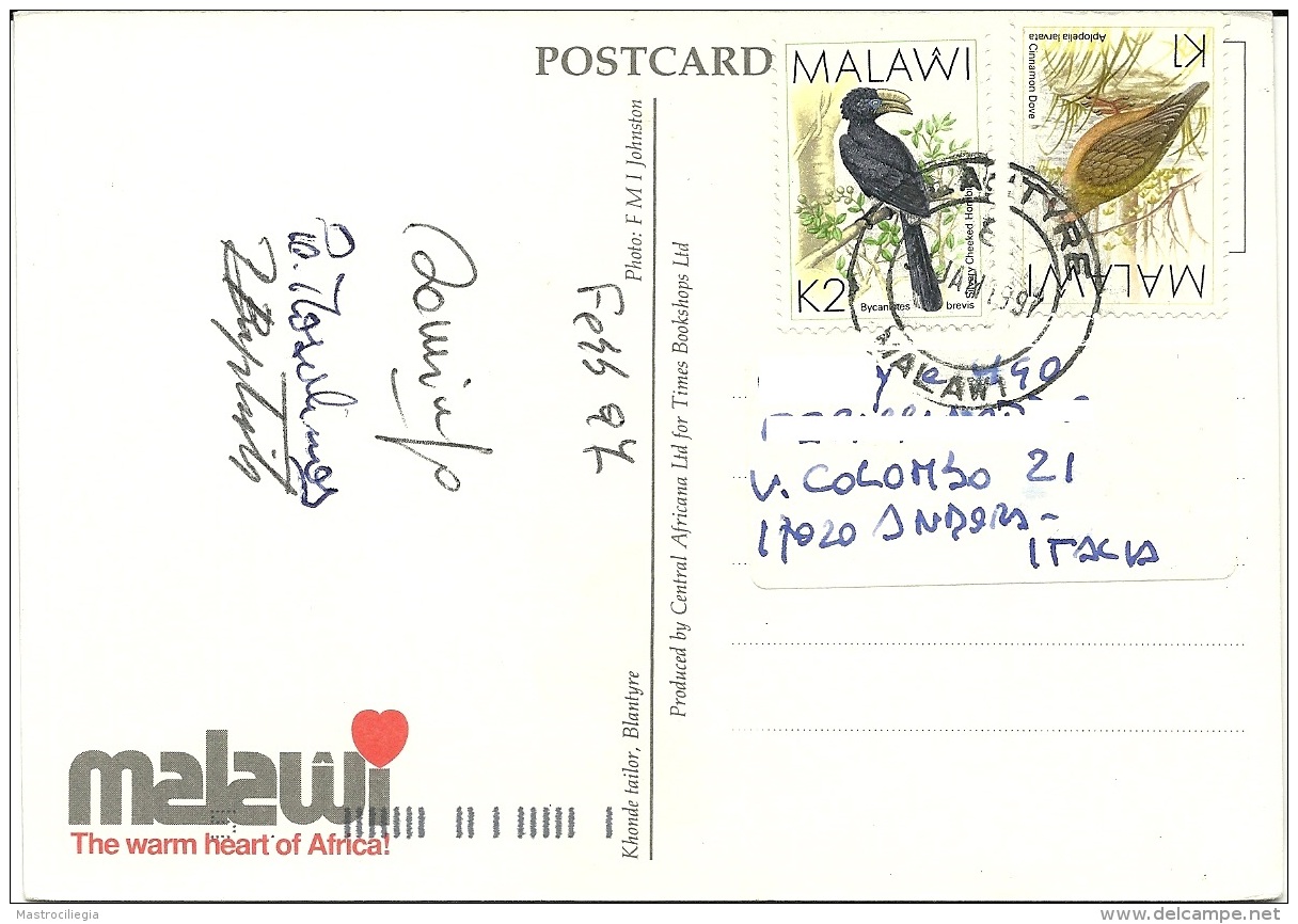 MALAWI  BLANTYRE  Khonde Tailor  Nice Stamps Bird Theme - Malawi