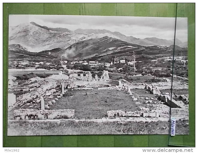 21354 - SALONA RUINE EPISKOPALNE BASILIKE, BASILIC - Croatie