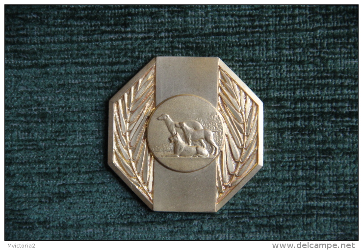 M&eacute;daille De Soci&eacute;t&eacute; Canine - Professionnels / De Société