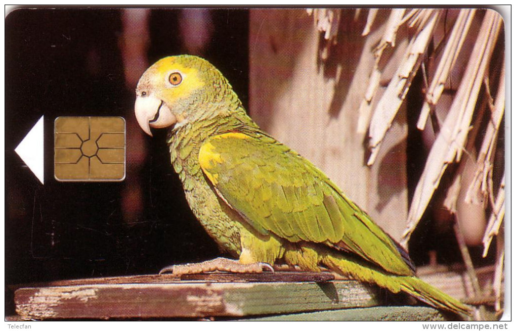 BONAIRE PERROQUET PARROT 20U UT - Papegaaien & Parkieten