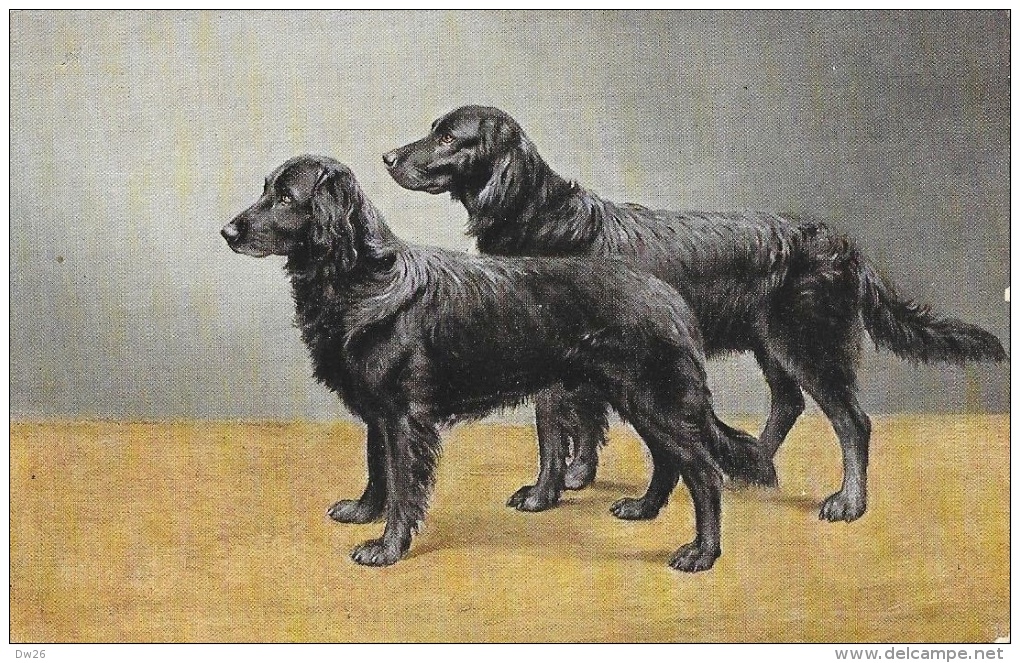 Chien - Couple D'Epagneuls Noir- Illustration Non Signée - Edition K.E. Série 3065 - Carte Non Circulée - Perros
