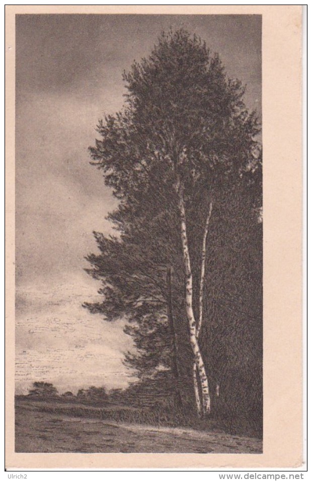 AK Künstlerkarte - Einsamkeit - Allmendsberg - Verlag R. Wenger, Emmendingen - Kupferdruck - Ca. 1910/20 (22390) - Emmendingen