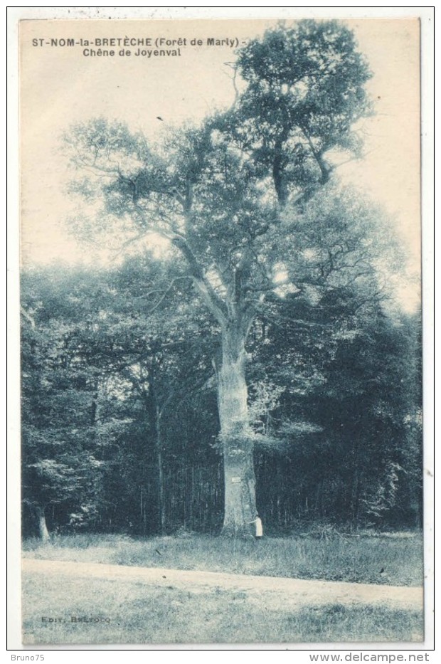 78 - SAINT-NOM-LA-BRETECHE (Forêt De Marly) - Chêne De Joyenval - Edition Bretocq - St. Nom La Breteche