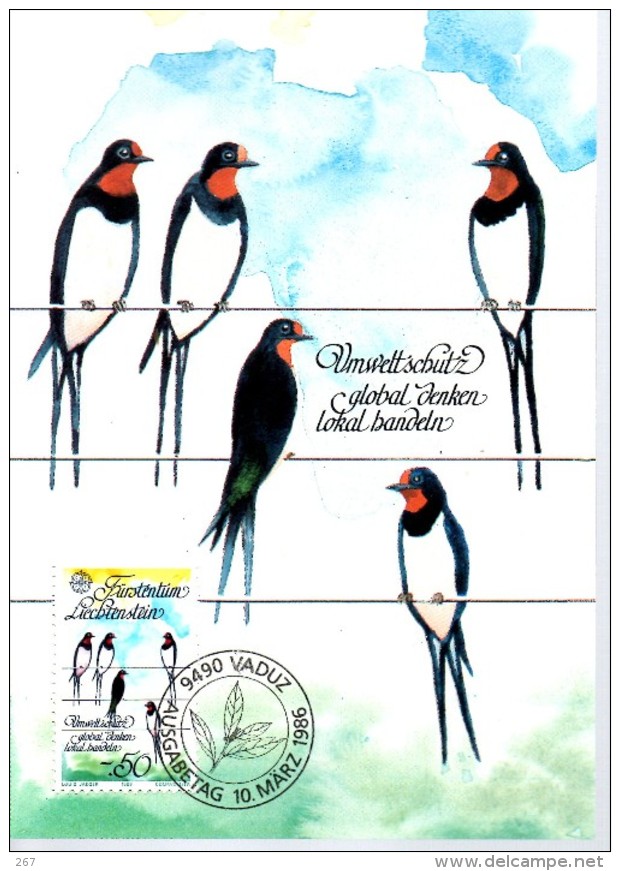 LIECHTENSTEIN  Carte Maxi  1986  Oiseaux Hirondelles - Hirondelles