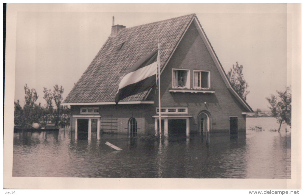 CARTE-PHOTO BUSSUM Inondation - Bussum