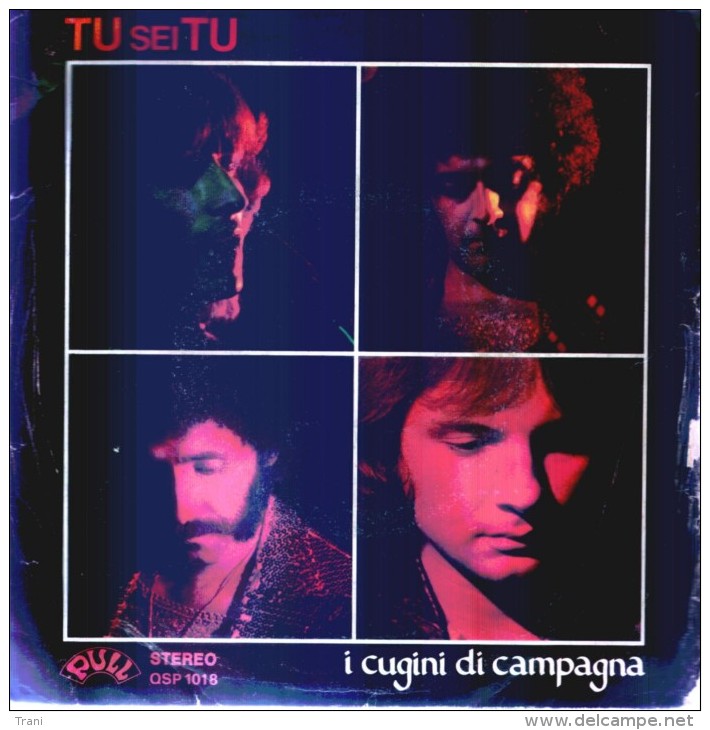 I CUGINI DI CAMPAGNA - Disco, Pop