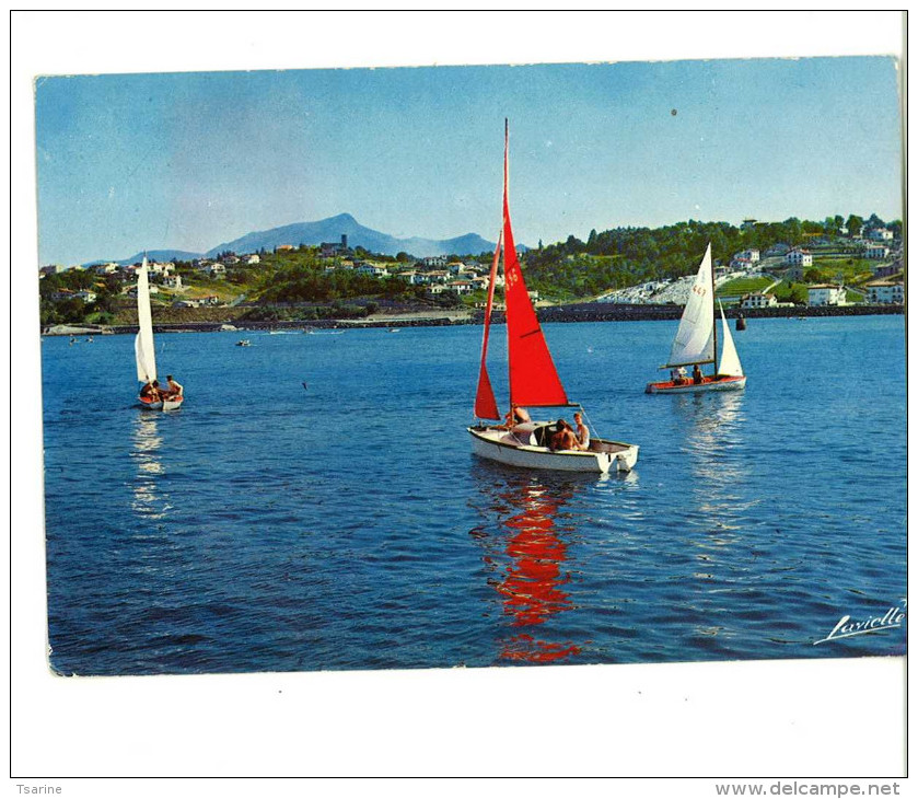 64 - Ciboure Socoa Voilier Sur La Baie De St Jean De Luz - Ciboure