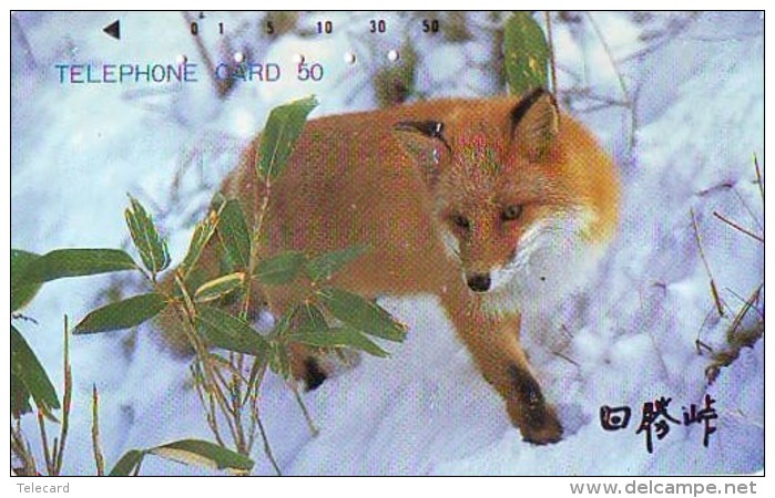 FOX RENARD FUCHS VOS Telecarte (339) - Selva