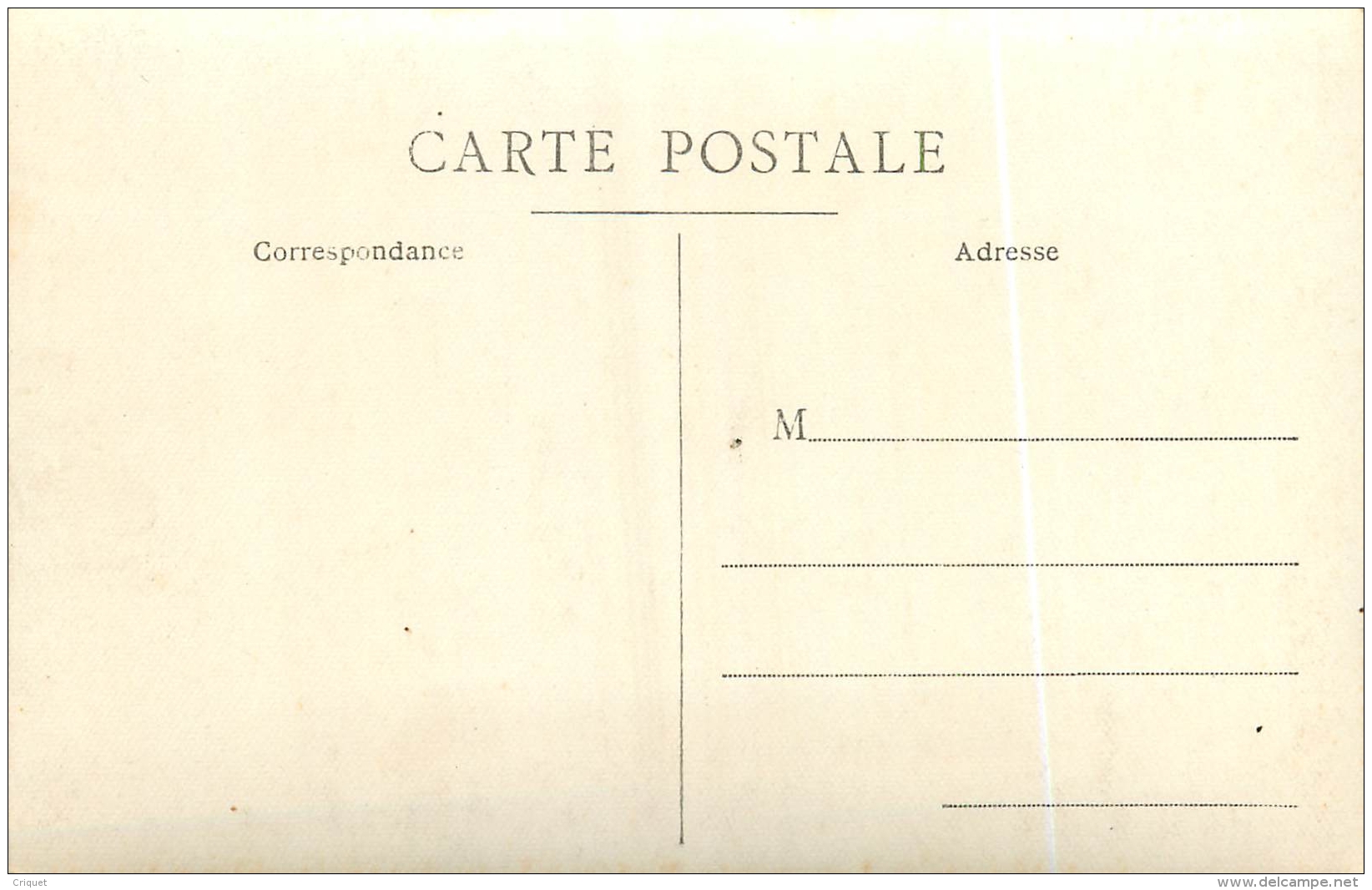 44 Le Croisic Ou Environs, Carte Photo De La Grande Côte, Voir Villas Et Ruines - Le Croisic