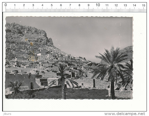 Toujane Tunisie  / CP 68/25 - Tunisie