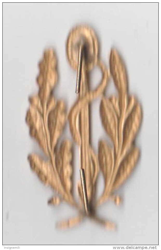 INSIGNE DE COL CORPS DE SANTE COLONIAL 40 X 23 Mm , En Métal - Services Médicaux