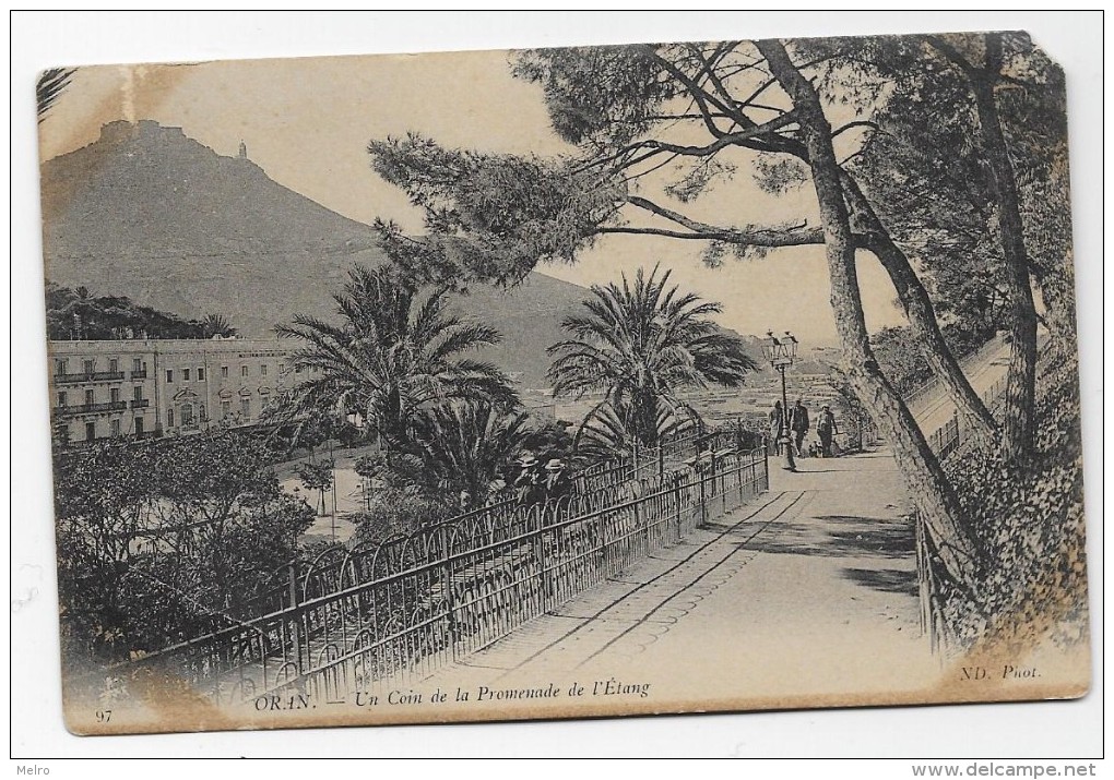 FRANCE - Algéria Ex. Colonia Française - ORAN -Un Coin De La Promenade De L´Étang. - Oran