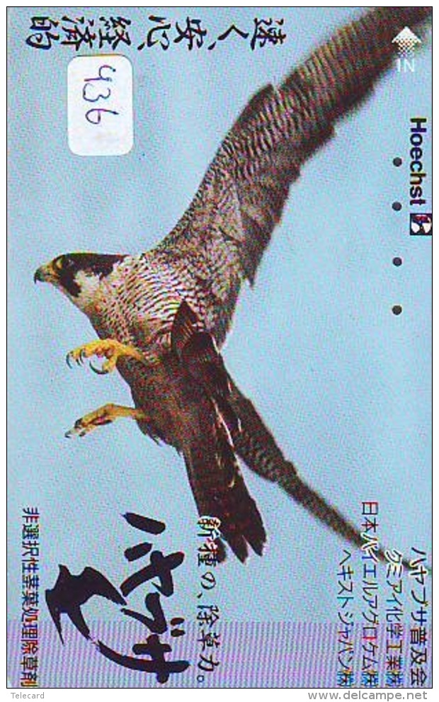 EAGLE - AIGLE - Adler - Arend - Águila - Bird - Oiseau (436) - Aquile & Rapaci Diurni