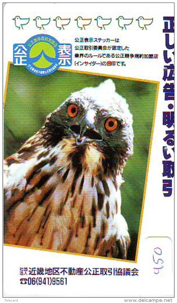 EAGLE - AIGLE - Adler - Arend - Águila - Bird - Oiseau (450) - Águilas & Aves De Presa