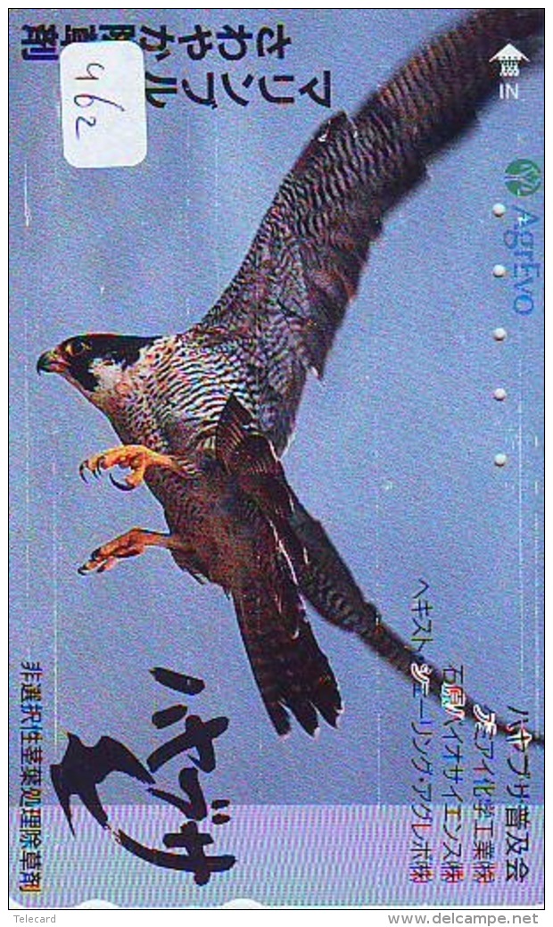 EAGLE - AIGLE - Adler - Arend - Águila - Bird - Oiseau (462) - Arenden & Roofvogels