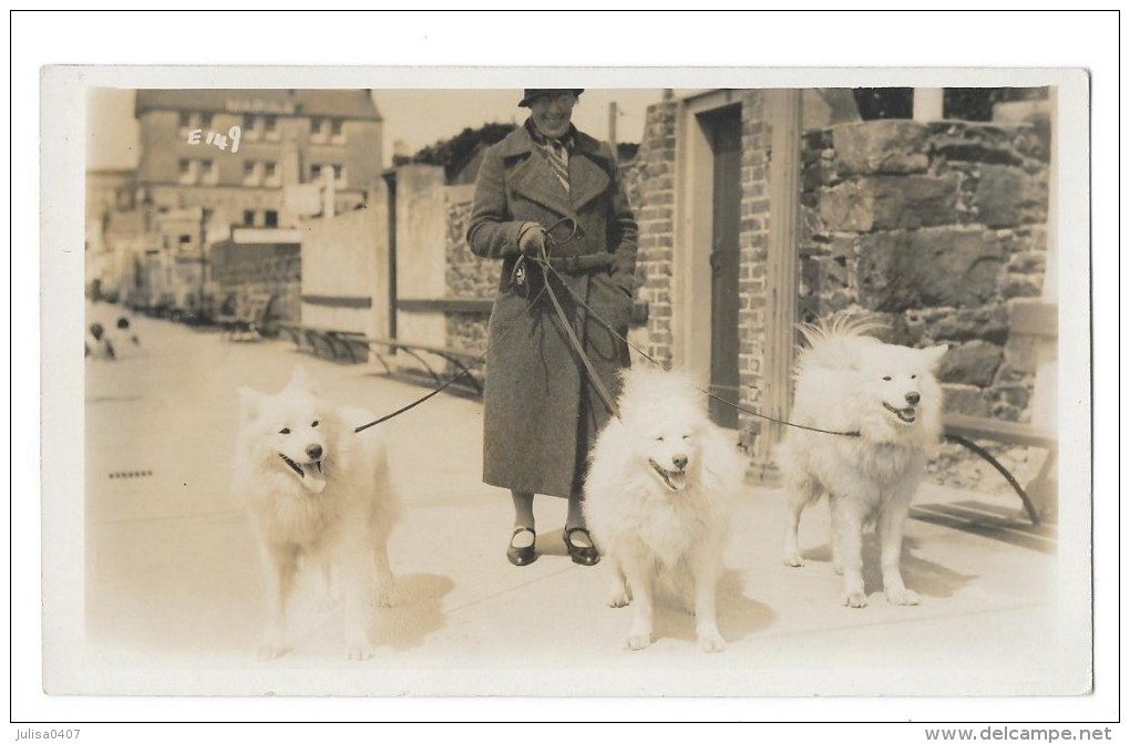 JERSEY Carte Photo Femme Promenant Ses Chiens Gros Plan - Other & Unclassified