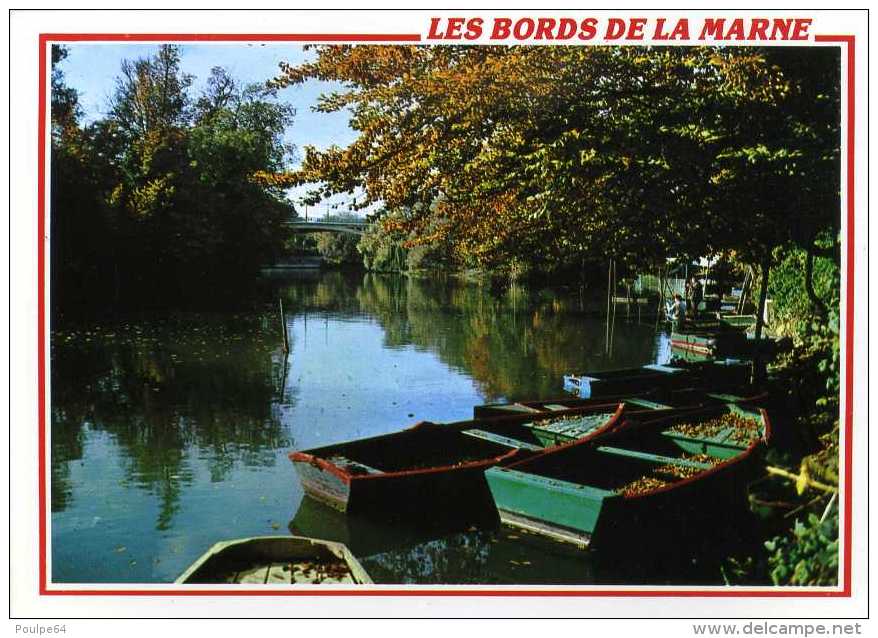 CPM - Les Bords De La Marne - Champigny