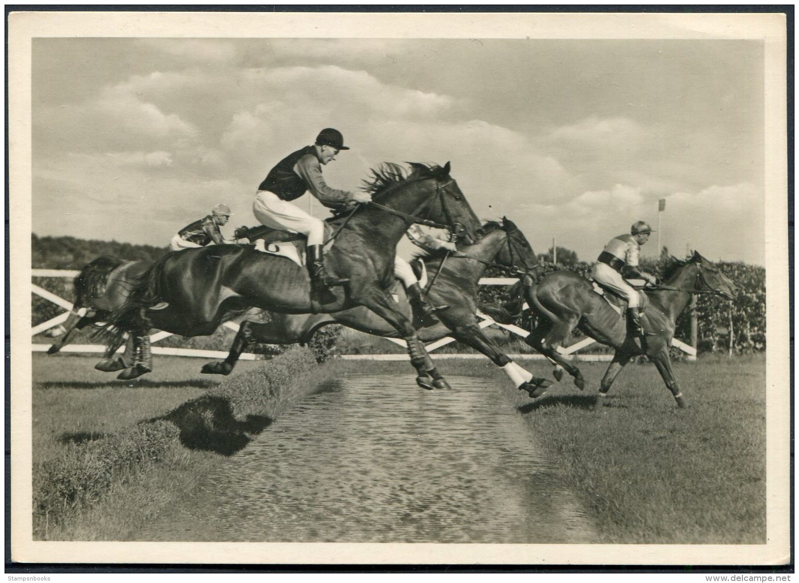 Germany Horse Racing Postcard - Horse Show