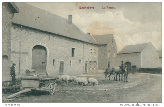 BELGIQUE ROCHEFORT / La Ferme / - Rochefort