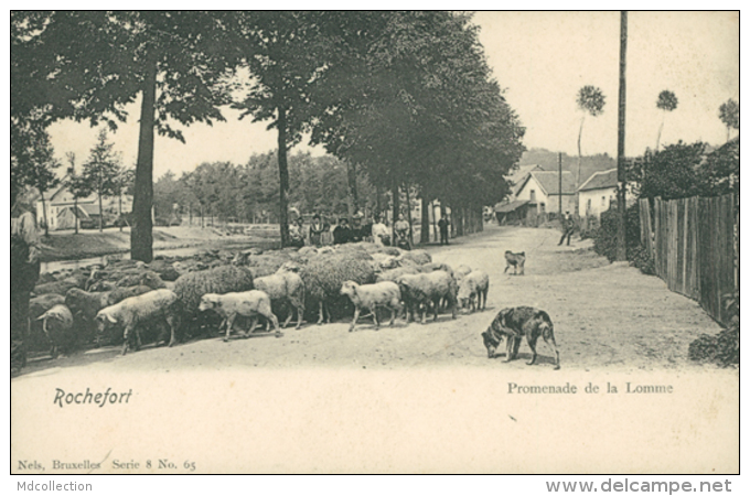 BELGIQUE ROCHEFORT / Promenade De La Lomme / - Rochefort