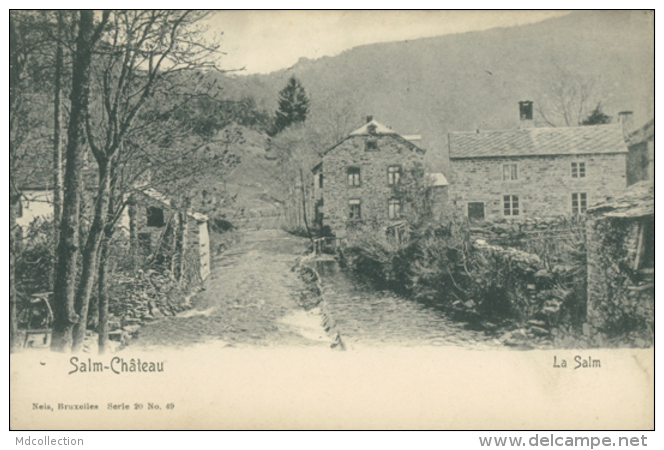 BELGIQUE SALM / Salm-Château, La Salm / - Sonstige & Ohne Zuordnung