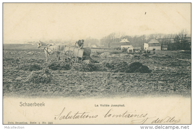 BELGIQUE SCHAERBEEK / La Vallée Josaphat / - Autres & Non Classés