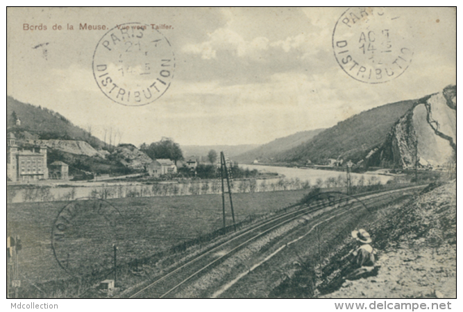 BELGIQUE TAILFER / Bords De La Meuse, Vue Vers Tailfer / - Autres & Non Classés