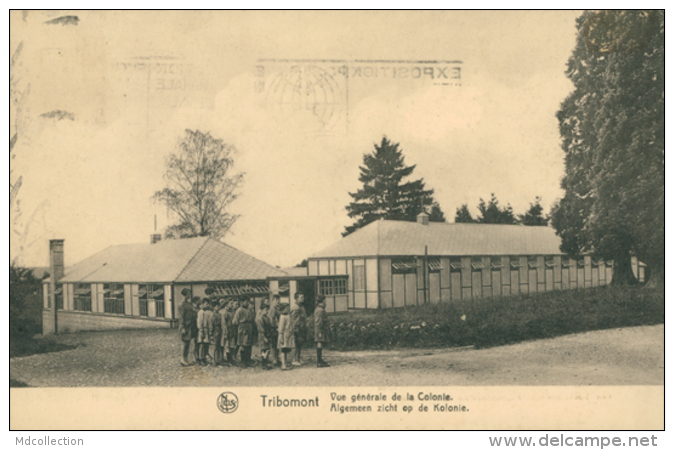 BELGIQUE TRIBOMONT / Vue Générale De La Colonie / - Autres & Non Classés