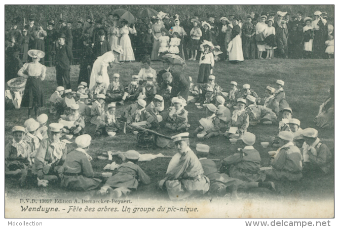 BELGIQUE WENDUYNE / Fête Des Arbres, Un Groupe Du Pic-nique / - Wenduine