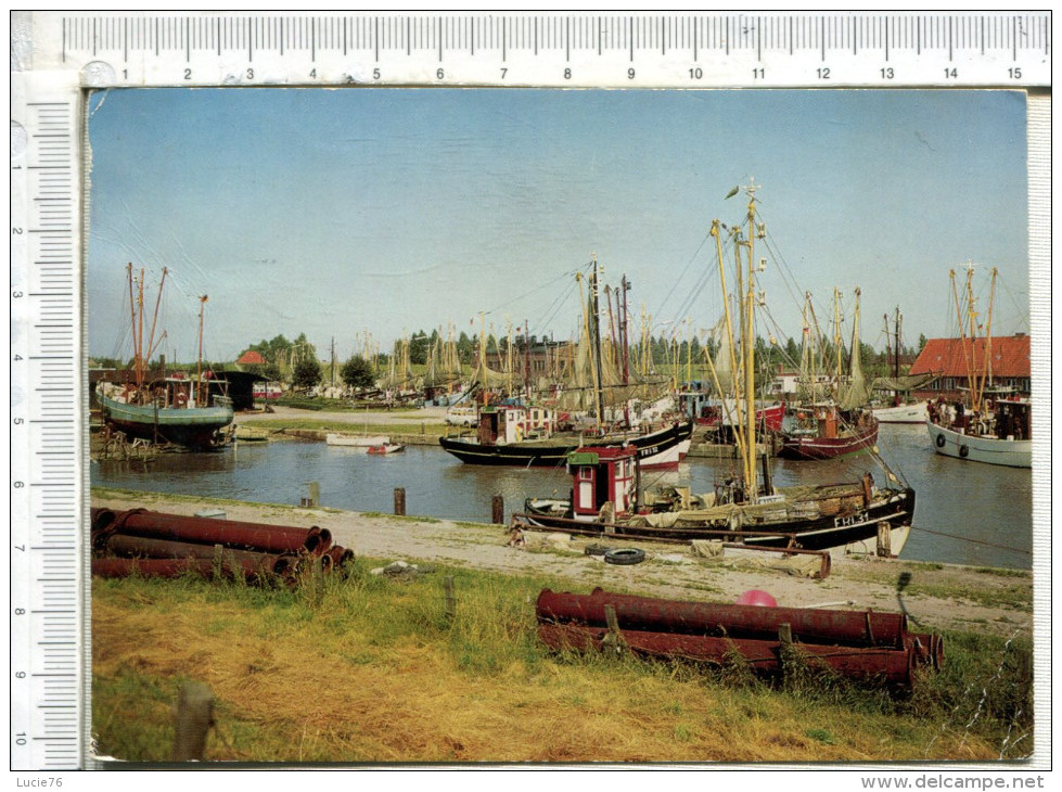 FRIEDRICHSKOOG   -  Nordesse  -   Fischereihafen - Friedrichsruh