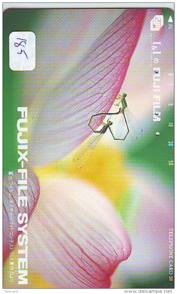Dragonfly Libellule Libelle Libélula - Insect (185) - Altri & Non Classificati