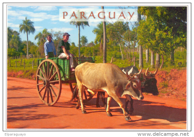 POSTAL PARAGUAY CARRETA CON BUEYES - Paraguay