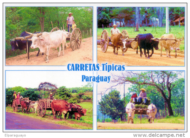 POSTAL PARAGUAY CARRETAS TIPICAS CON BUEYES EN LA CAMPIÑA - Paraguay