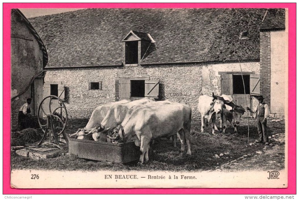 En Beauce - Rentrée à La Ferme - Machine Agriciole - Paysan - Bœufs - Animée - ND PHOT. - NEURDEIN FRERES - Other & Unclassified