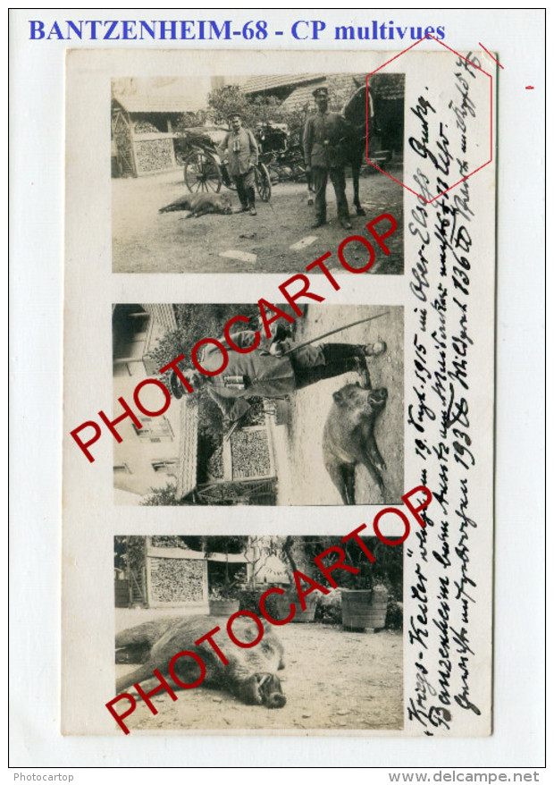 BANTZENHEIM-SANGLIER-CHASSE-CARTE PHOTO Allemande Multivues-Guerre-14-18-1WK-FRANCE-68-FRANKREICH-Feldpost- - Autres & Non Classés