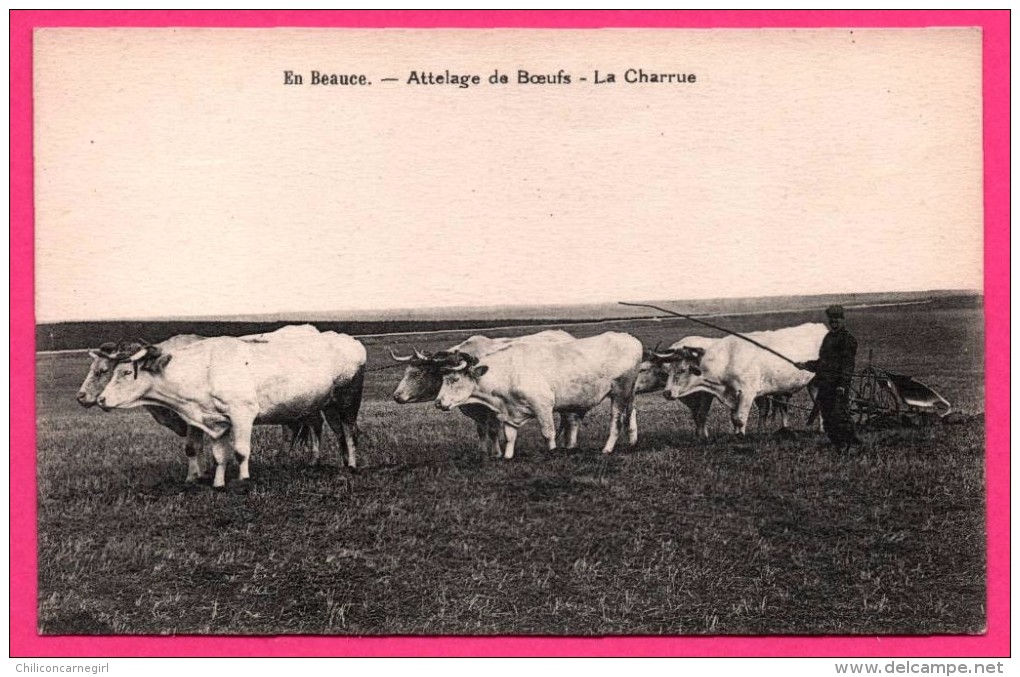 En Beauce - Attelage De Bœufs - La Charrue - Animée - L. LENORMAND - Other & Unclassified